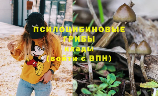 спайс Абинск