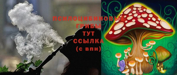 спайс Абинск