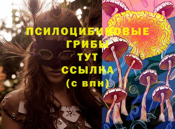 хмурый Алексеевка